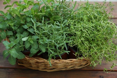 Photo of Wicker basket with fresh mint, thyme and rosemary on wooden table outdoors, closeup. Aromatic herbs