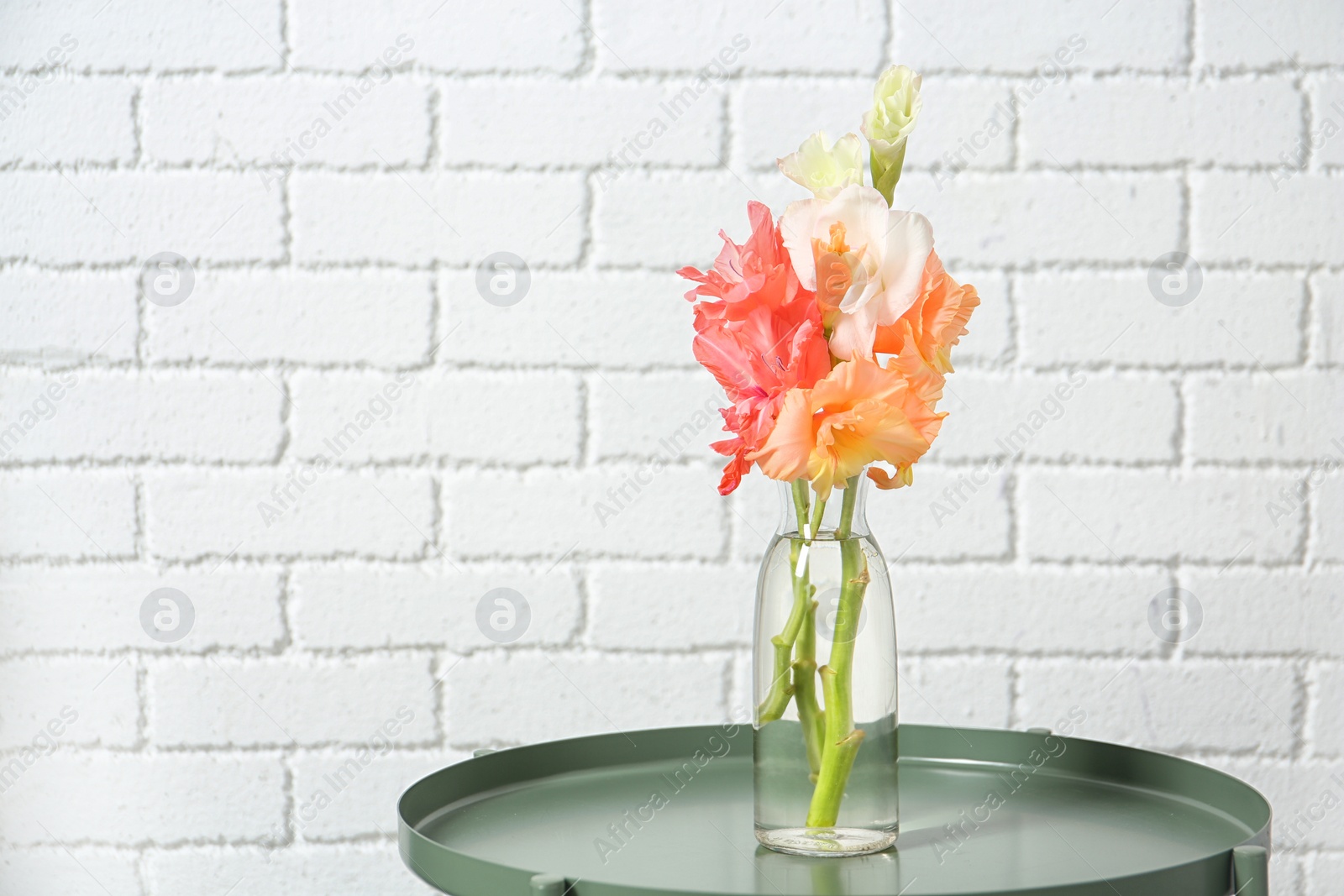 Photo of Vase with beautiful gladiolus flowers on table against brick wall