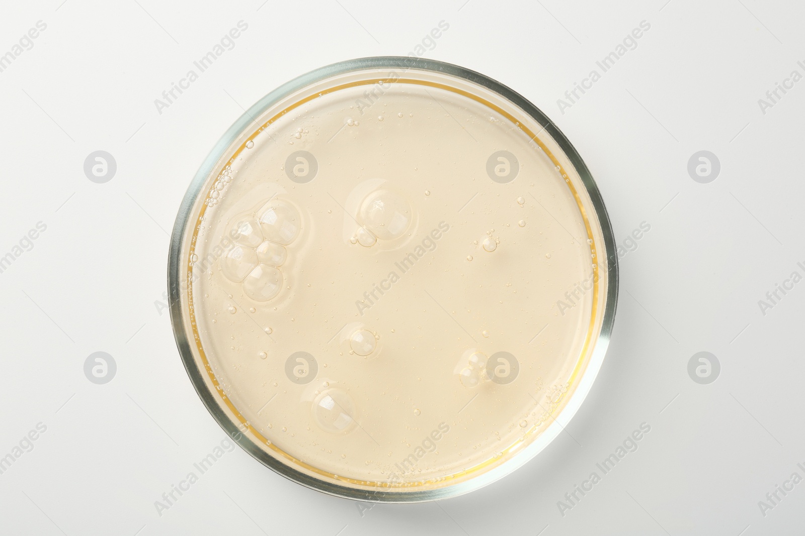 Photo of Petri dish with color liquid sample on white background, top view