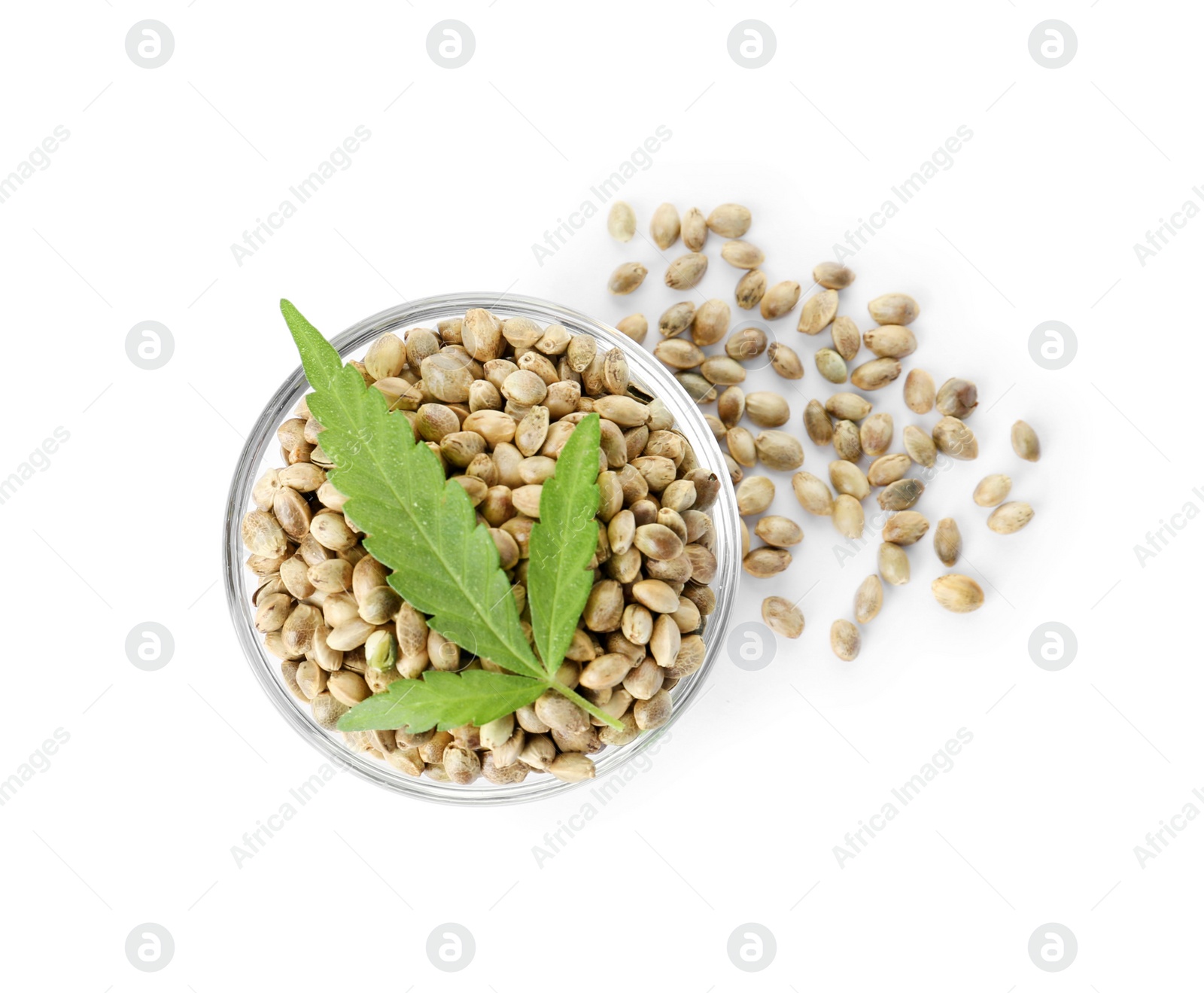 Photo of Bowl of hemp seeds with green leaf on white background, top view