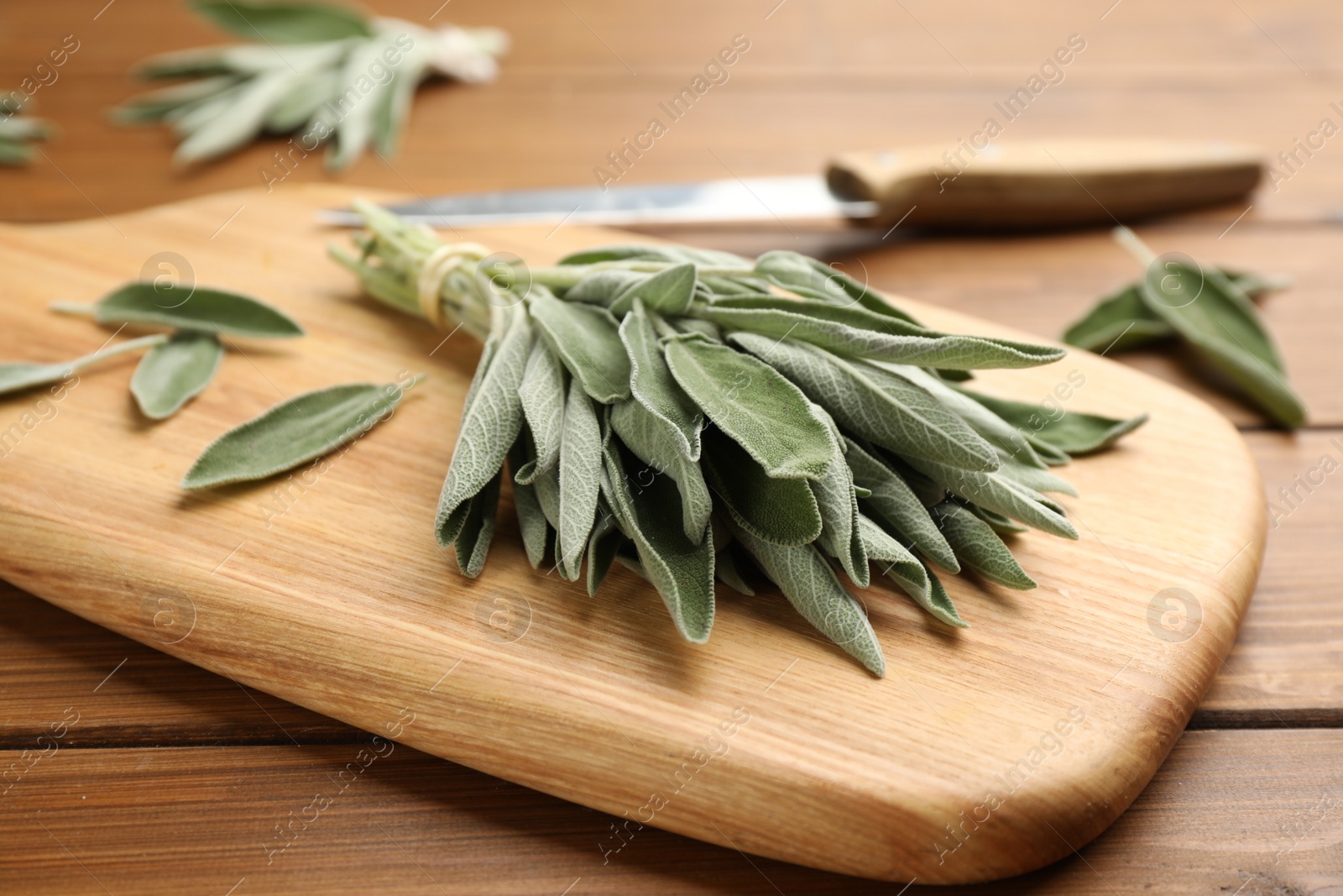 Photo of Wooden board with fresh green sage on table, closeup