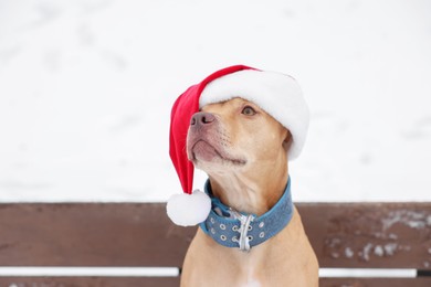 Cute dog wearing Santa hat on bench outdoors