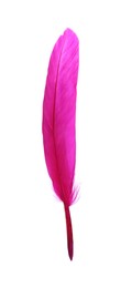 Photo of Fluffy beautiful magenta feather isolated on white