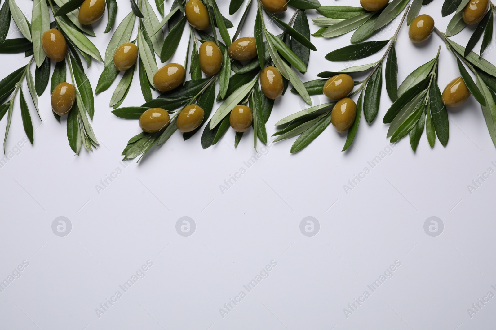 Photo of Twigs with olives and fresh green leaves on white background, flat lay. Space for text