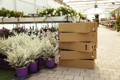 Photo of Stack of cardboard boxes and beautiful blooming plants in garden center