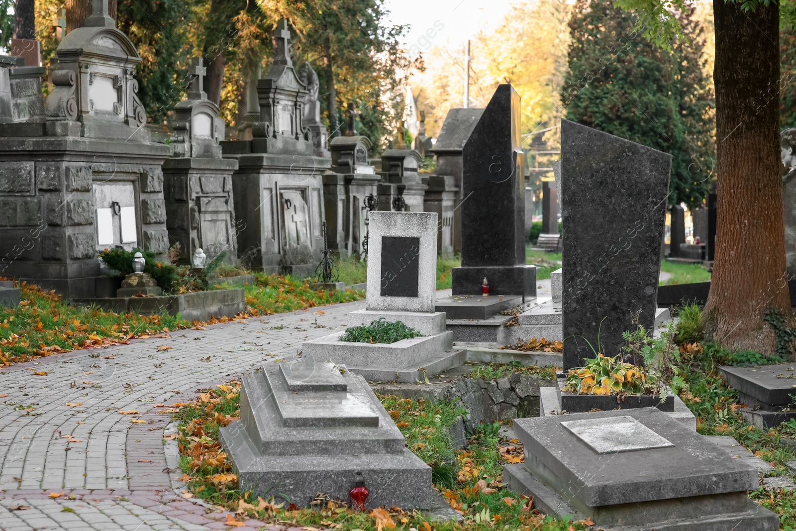 Photo of Many tombstones and paved footpath at cemetery