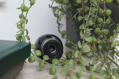 Small camera hidden near houseplant on wooden table, closeup