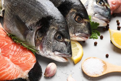 Photo of Fresh raw dorado fish, salmon and spices on light grey table, closeup