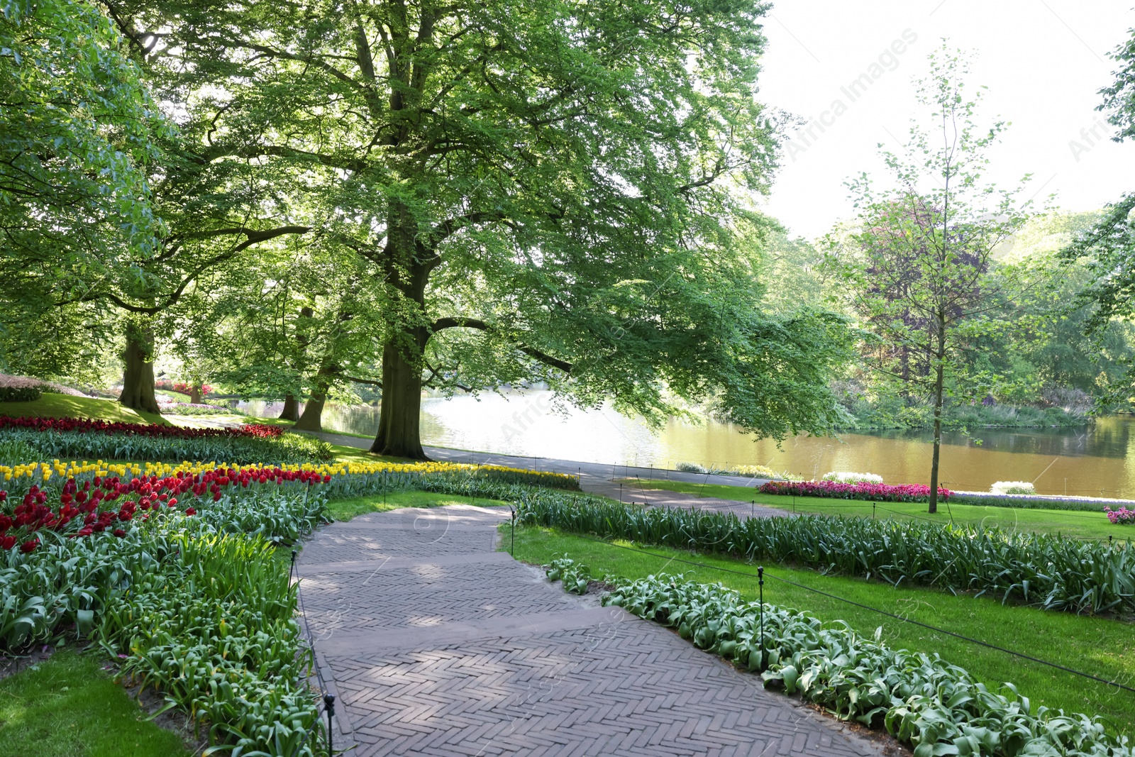 Photo of Pathway in park with green trees and beautiful flowers on sunny day. Spring season