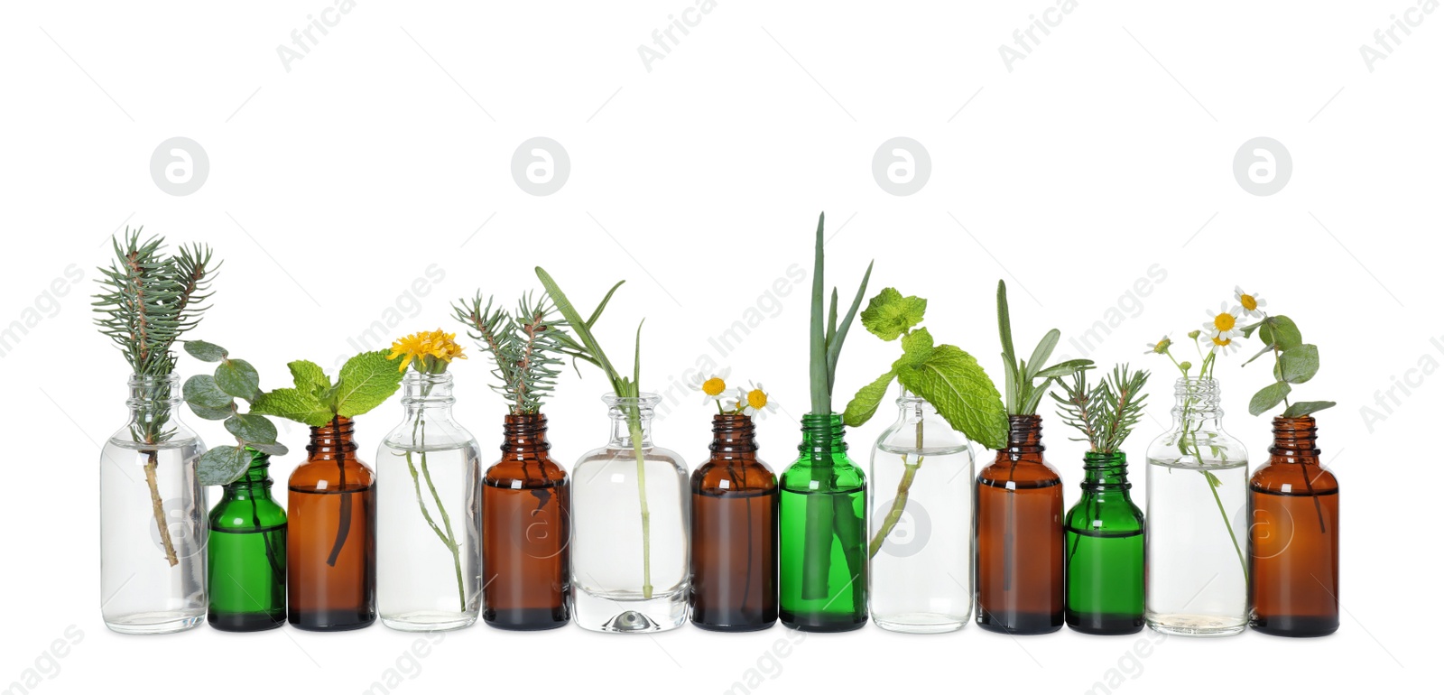 Photo of Glass bottles of different essential oils with plants on white background