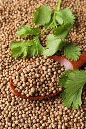 Photo of Dried coriander seeds, wooden spoon and green leaves, closeup