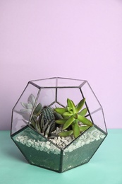Glass florarium with different succulents on color background, space for text