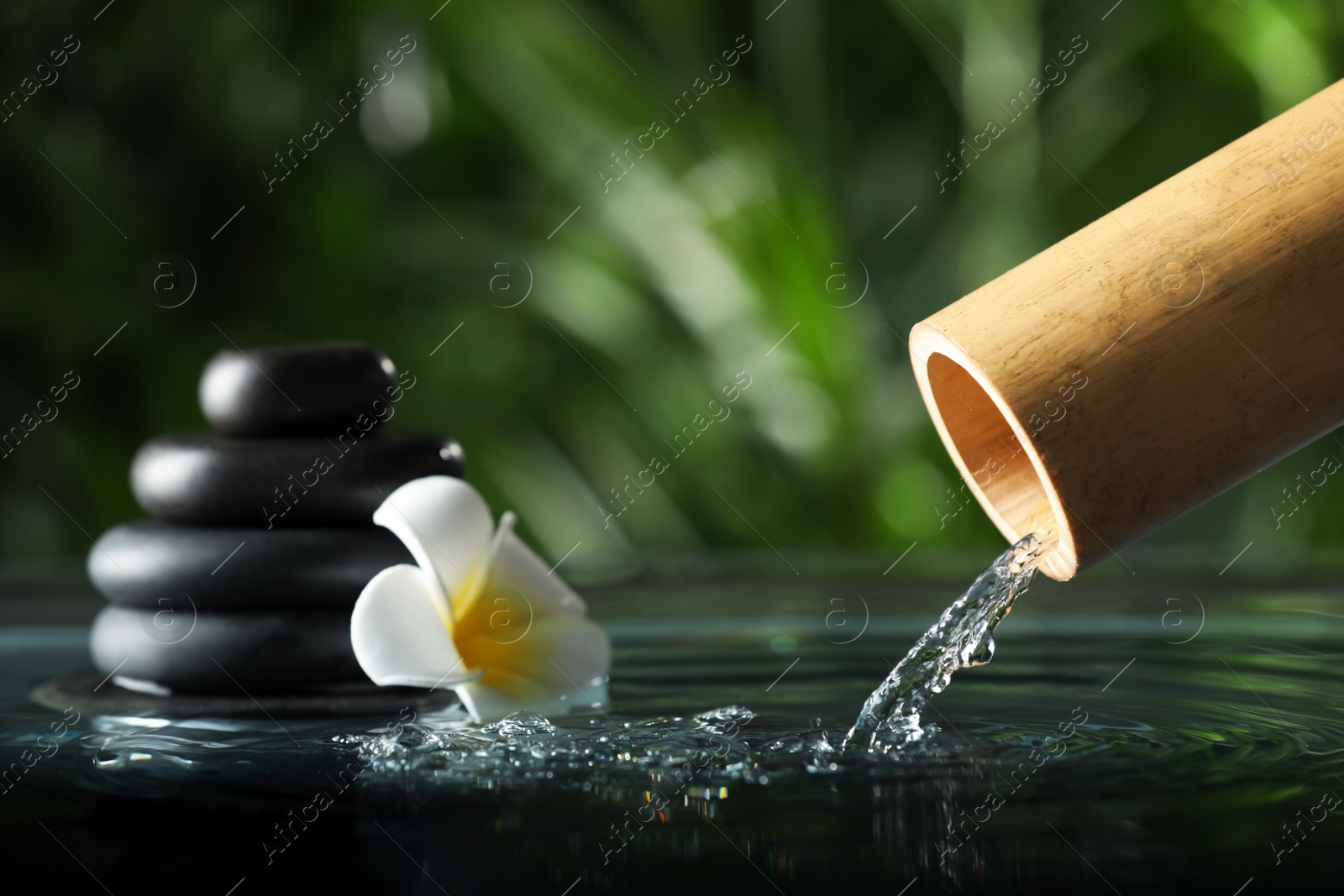 Photo of Composition with black pebble, flower and bamboo fountain against blurred background, closeup