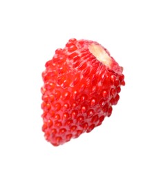 One ripe wild strawberry isolated on white