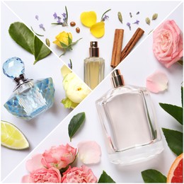 Beautiful collage with photos of luxury perfume and ingredients represent their fragrance notes on light background, top view