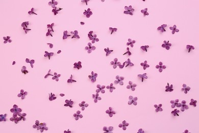 Photo of Beautiful lilac flowers on pink background, flat lay