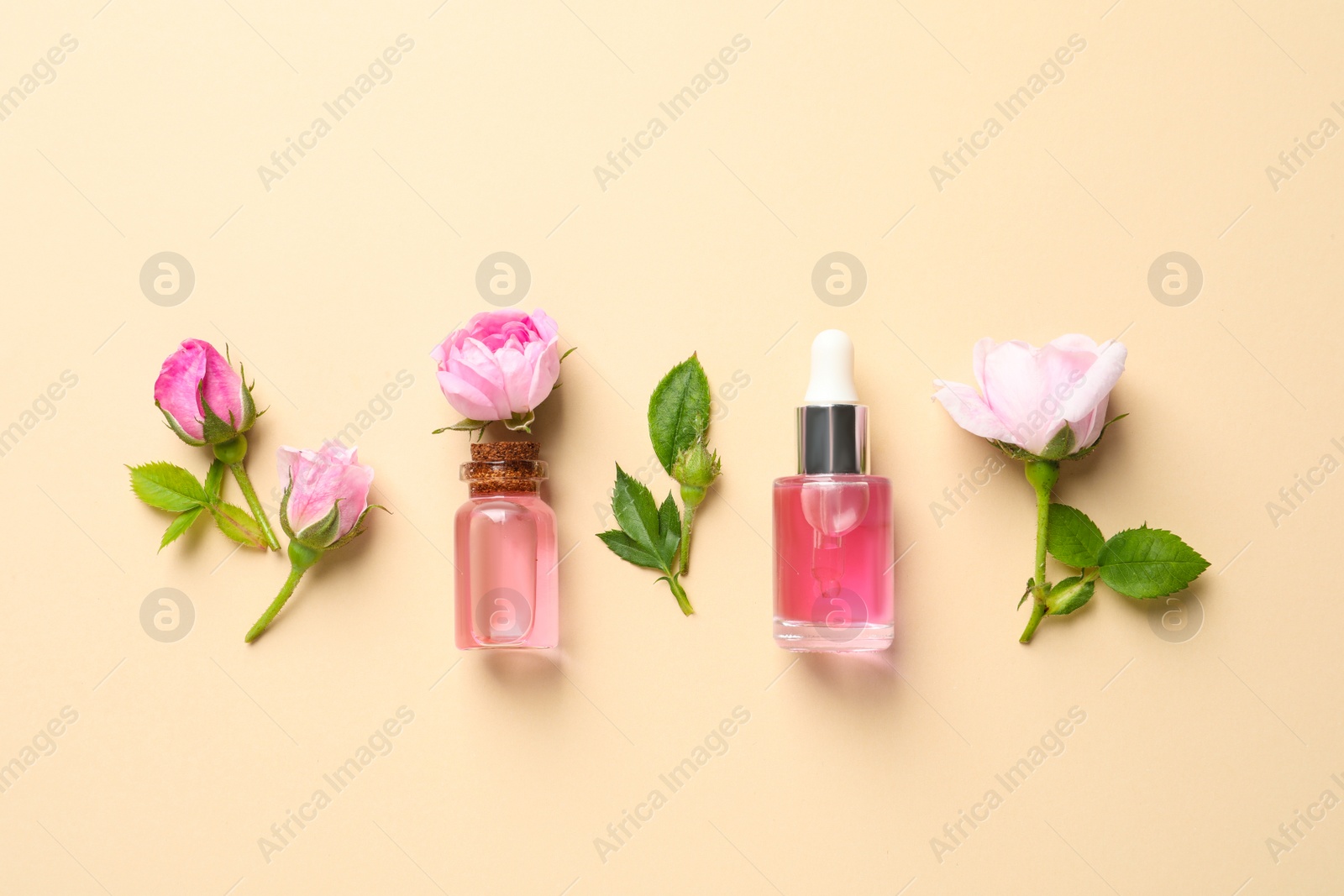 Photo of Fresh flowers and bottles of rose essential oil on color background, flat lay