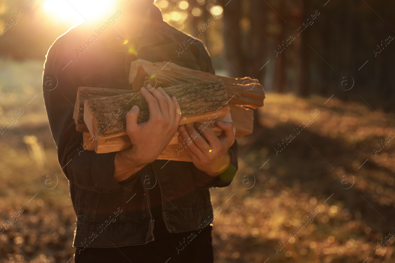 Photo of Man holding pile of cut firewood in forest, closeup