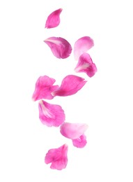 Image of Beautiful tender petals flying on white background