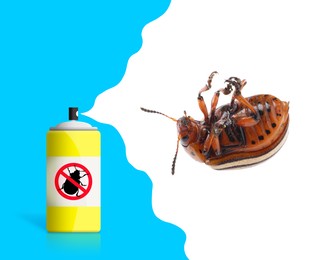 Image of Insecticide and dead Colorado potato beetle on color background
