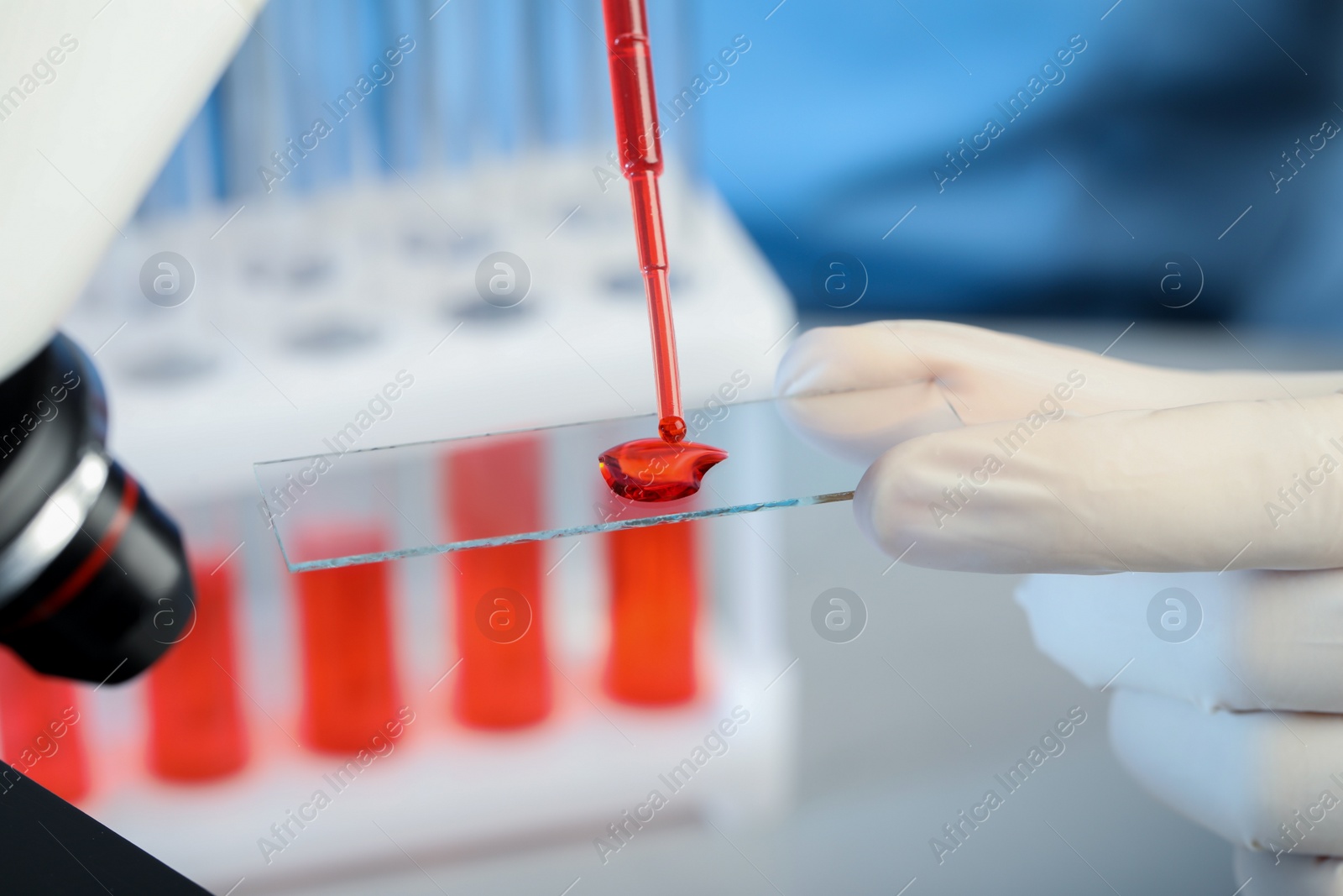 Photo of Scientist dripping sample of red liquid onto microscope slide in laboratory, closeup