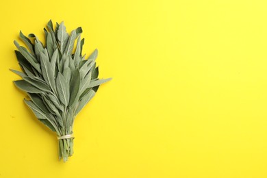 Photo of Bunch of fresh sage on yellow background, top view. Space for text