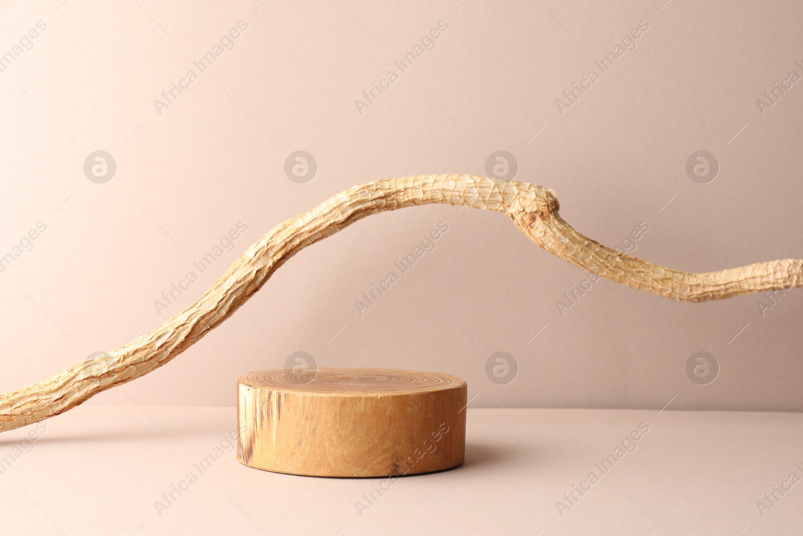 Photo of Presentation for product. Wooden podium and tree branch on beige background