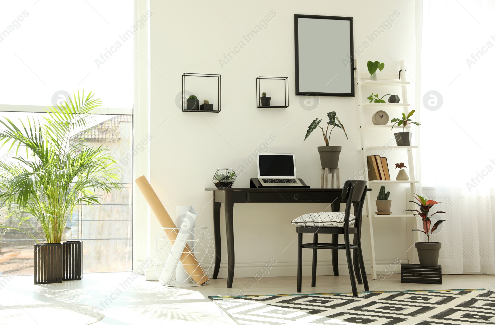 Photo of Trendy room interior with different home plants and laptop on table. Space for text