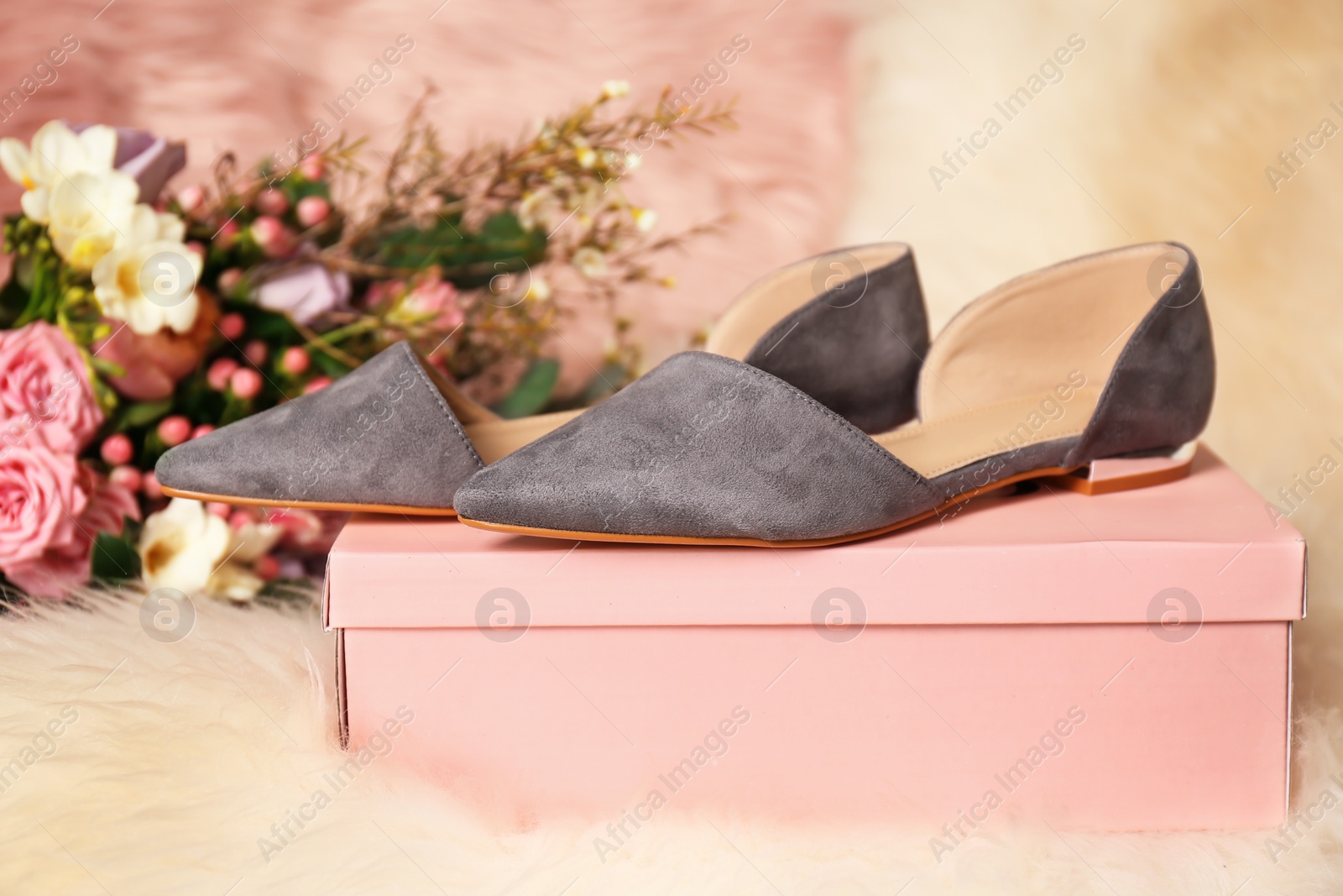 Photo of Stylish female shoes on box