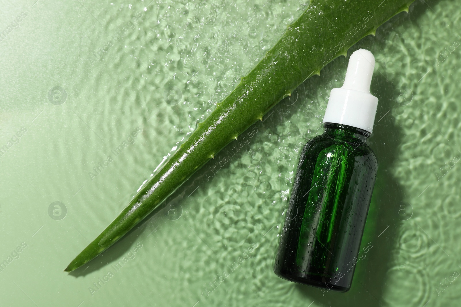 Photo of Bottle of cosmetic product and aloe leaf in water on pale green background, flat lay