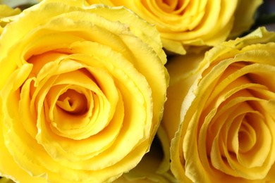 Photo of Beautiful bouquet of yellow roses as background, closeup