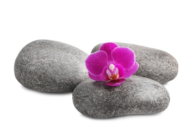 Photo of Pile of spa stones and orchid flower on white background