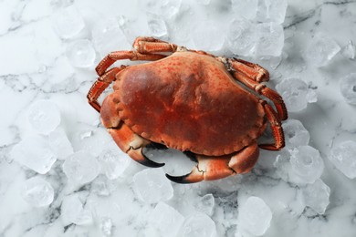 Photo of Delicious boiled crab and ice on white marble table, top view