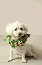 Photo of Adorable Bichon wearing wreath made of beautiful flowers indoors