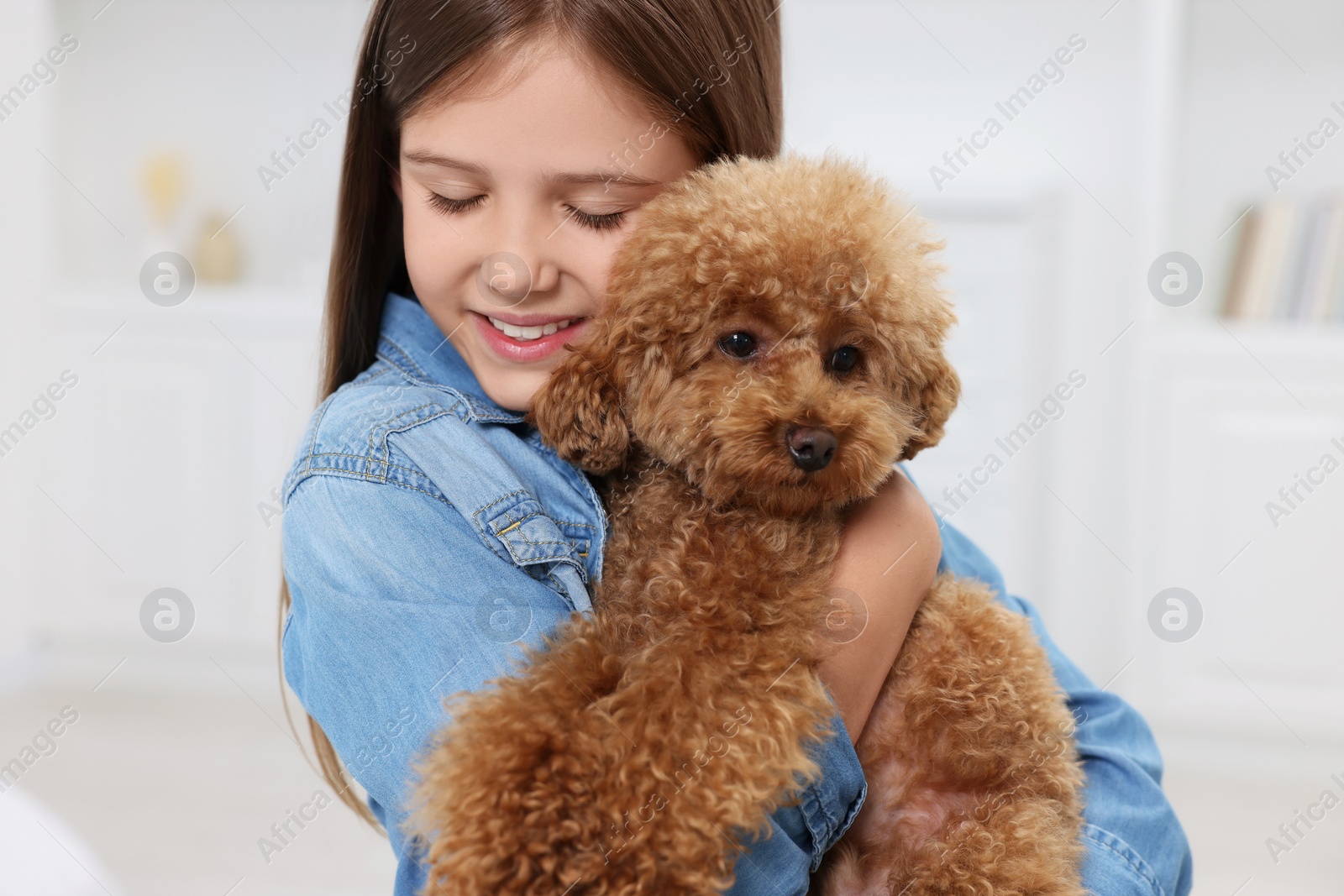 Photo of Little child with cute puppy at home. Lovely pet