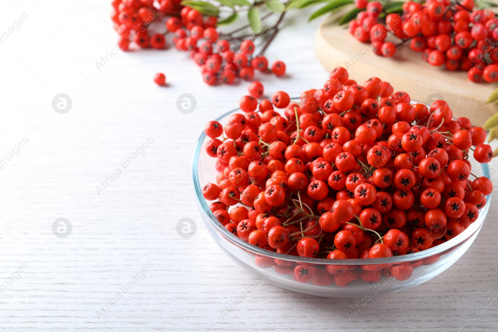 Photo of Fresh ripe rowan berries in glass bowl on white wooden table, space for text