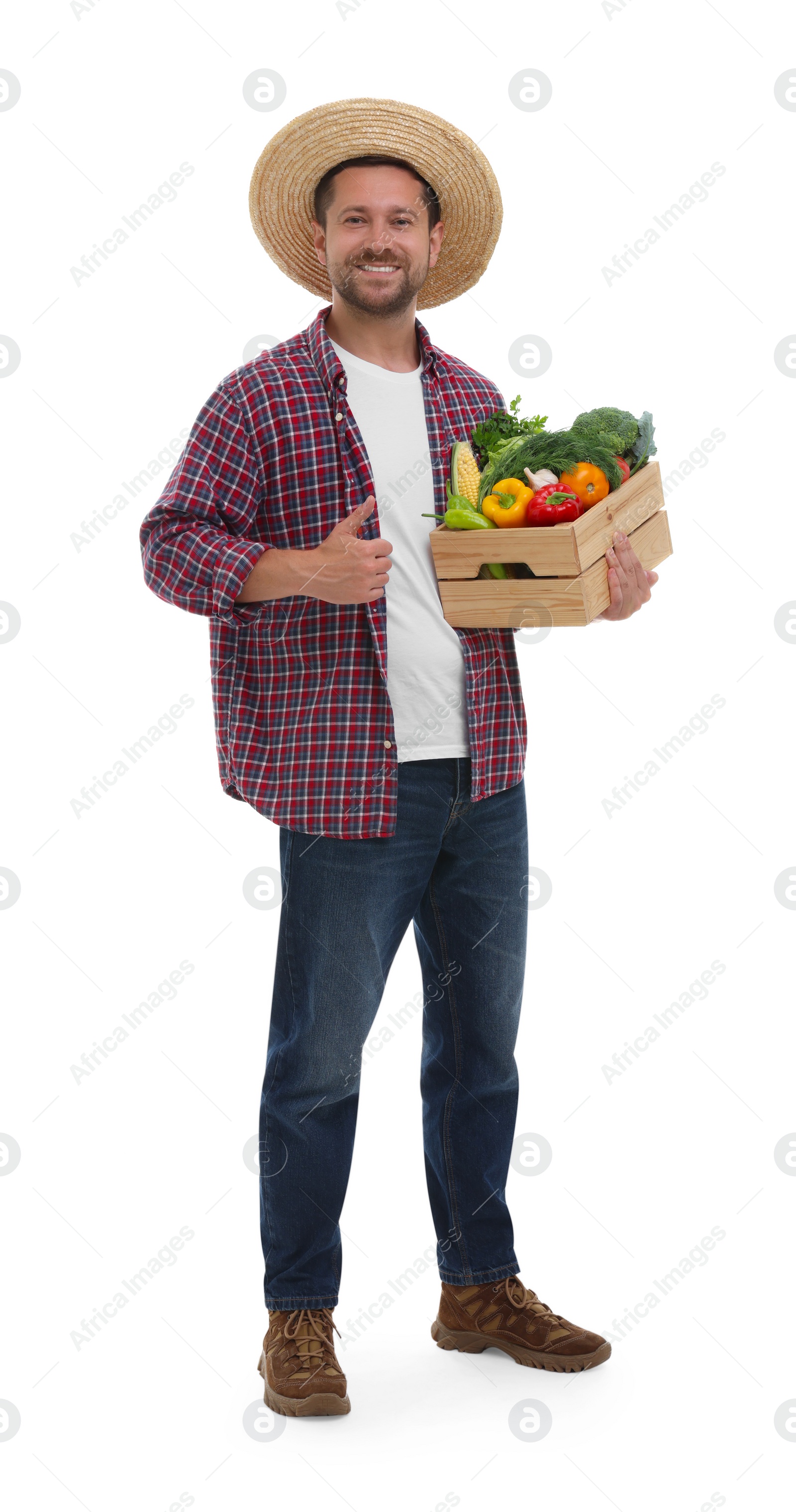 Photo of Harvesting season. Happy farmer holding wooden crate with vegetables and showing thumb up on white background