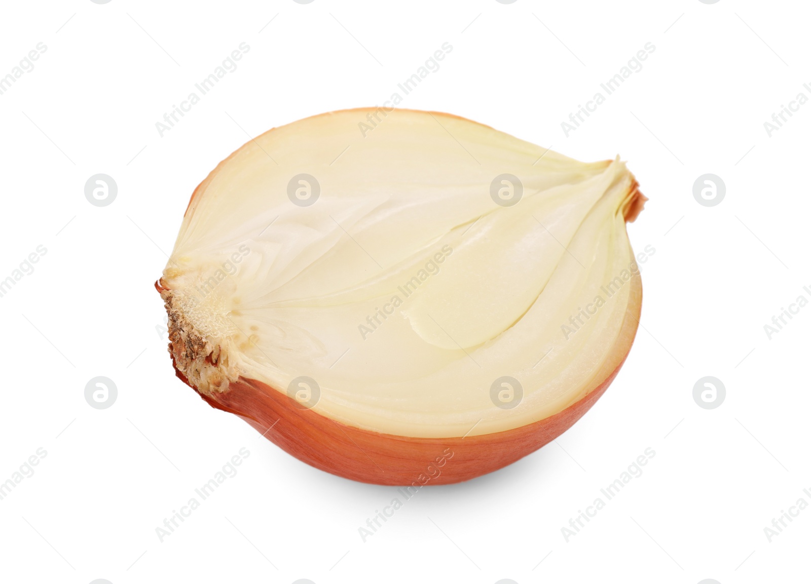 Photo of Half of fresh onion isolated on white