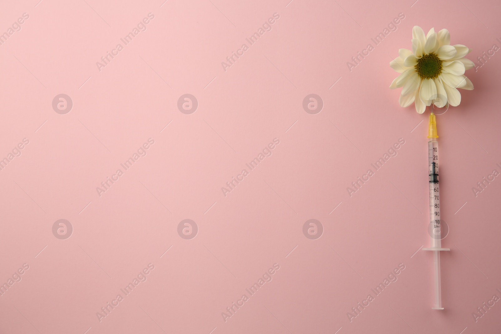 Photo of Medical syringe and beautiful chrysanthemum flower on pink background, top view. Space for text