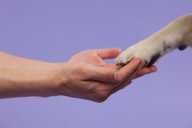 Dog giving paw to man on purple background, closeup