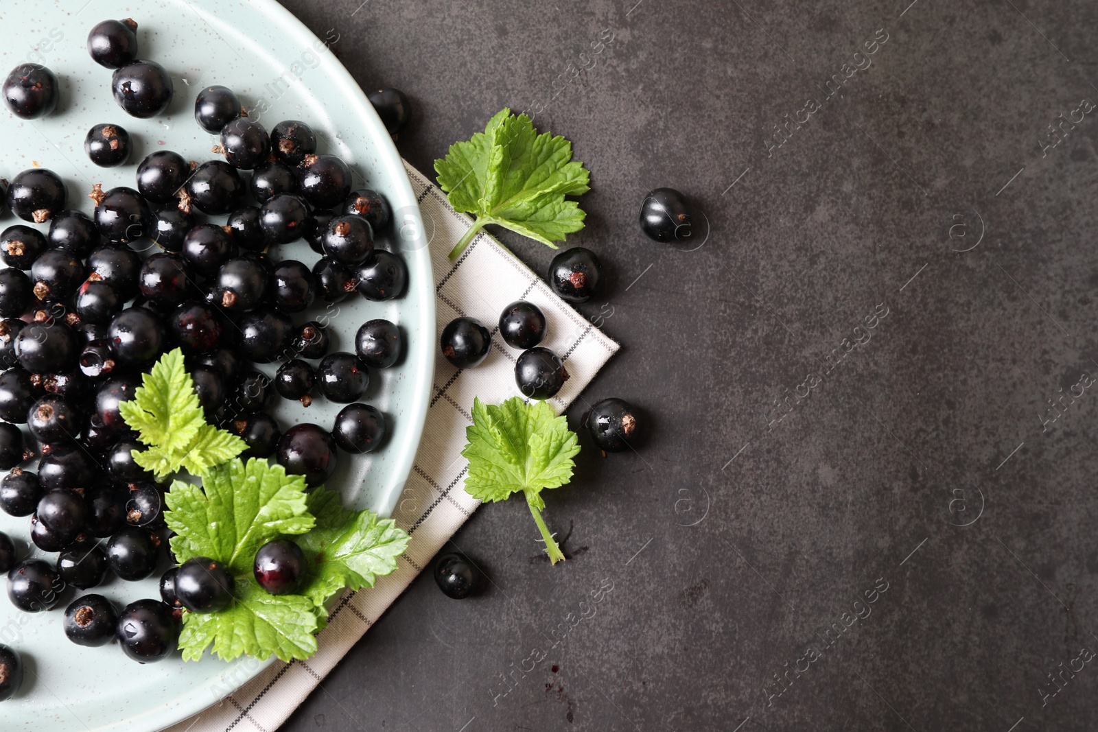 Photo of Plate with ripe blackcurrants and leaves on grey background, flat lay. Space for text