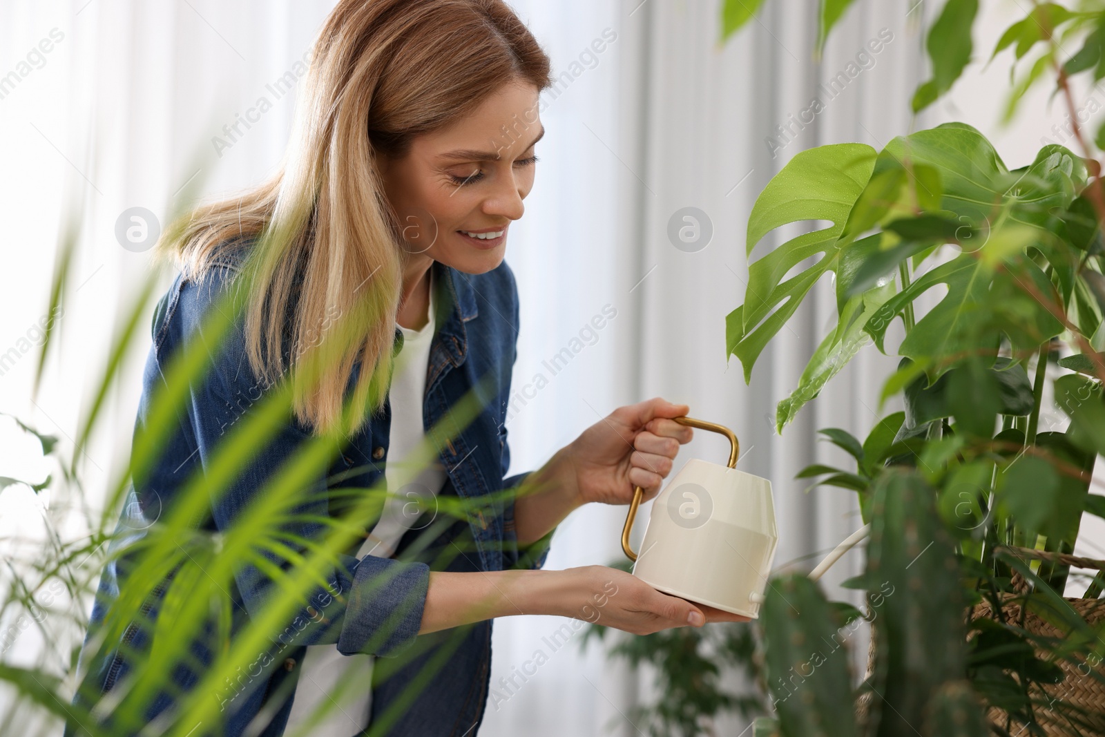 Photo of Woman watering beautiful potted houseplants at home