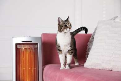 Cute cat on sofa near modern electric ultrared heater indoors