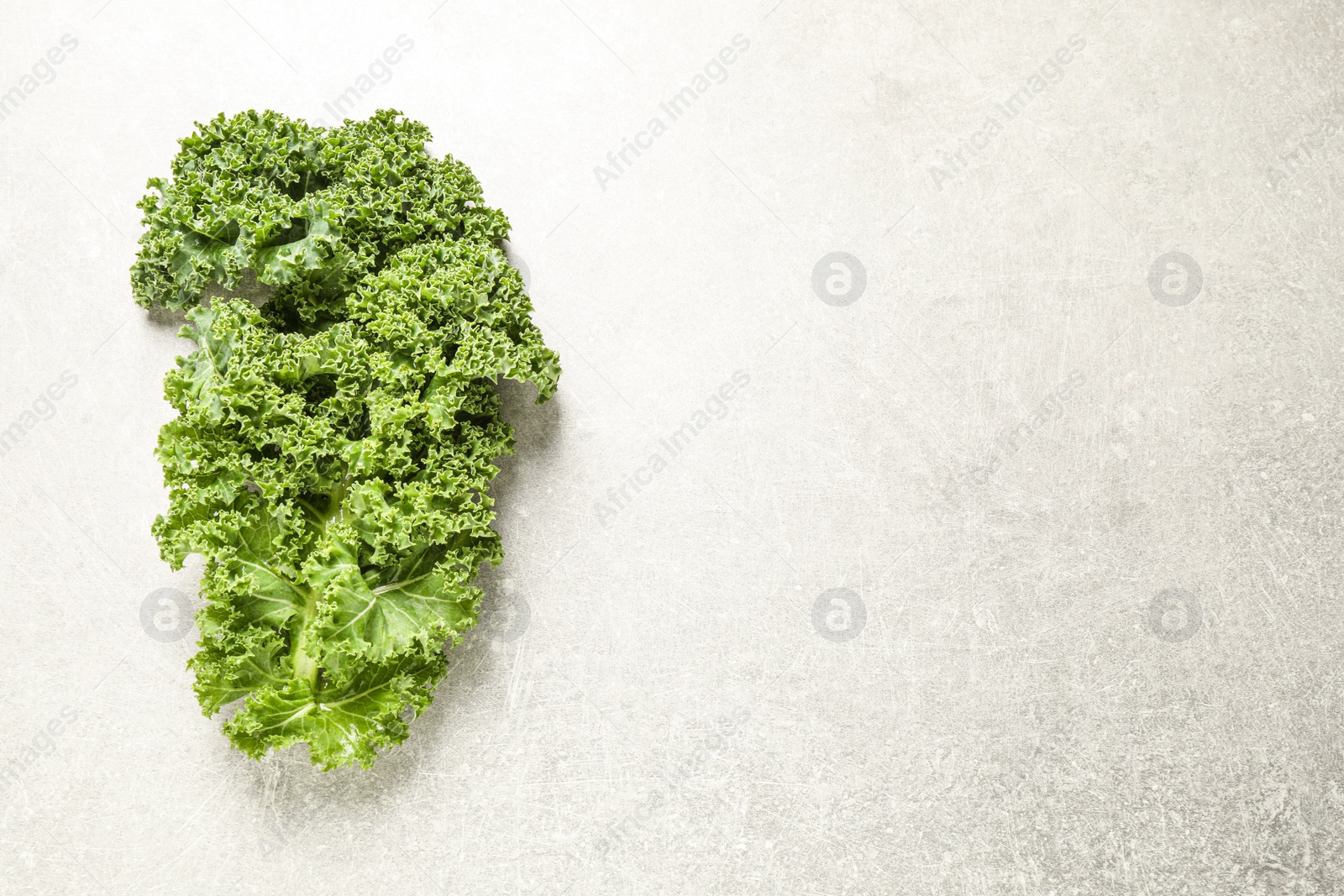 Photo of Fresh kale leaf on light grey table, top view. Space for text