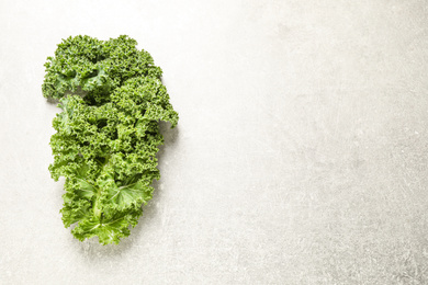 Fresh kale leaf on light grey table, top view. Space for text