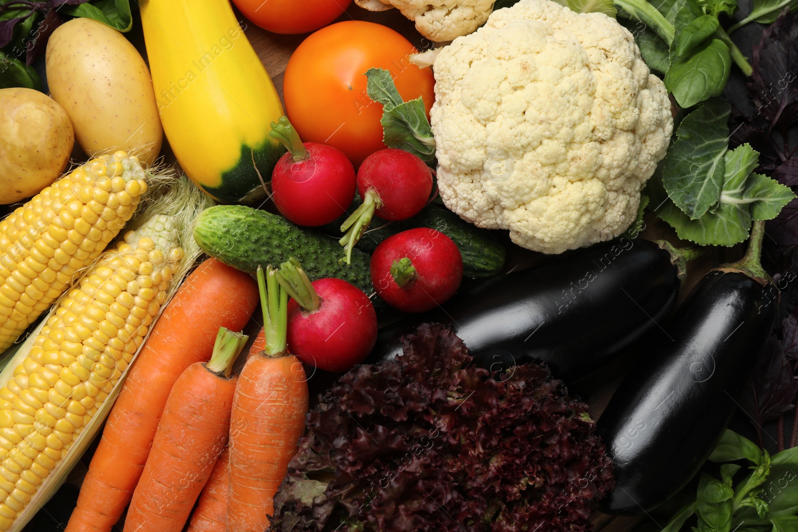 Photo of Many different fresh vegetables as background, top view