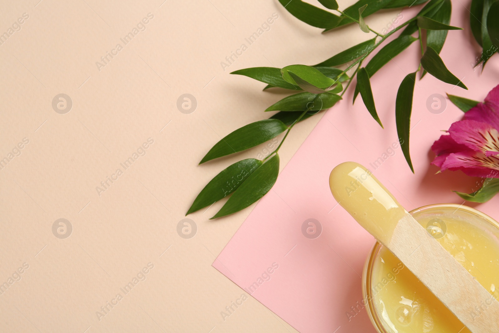 Photo of Wax with spatula and flower on color background, flat lay. Space for text