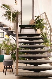 Stylish room interior with stairs and green plants