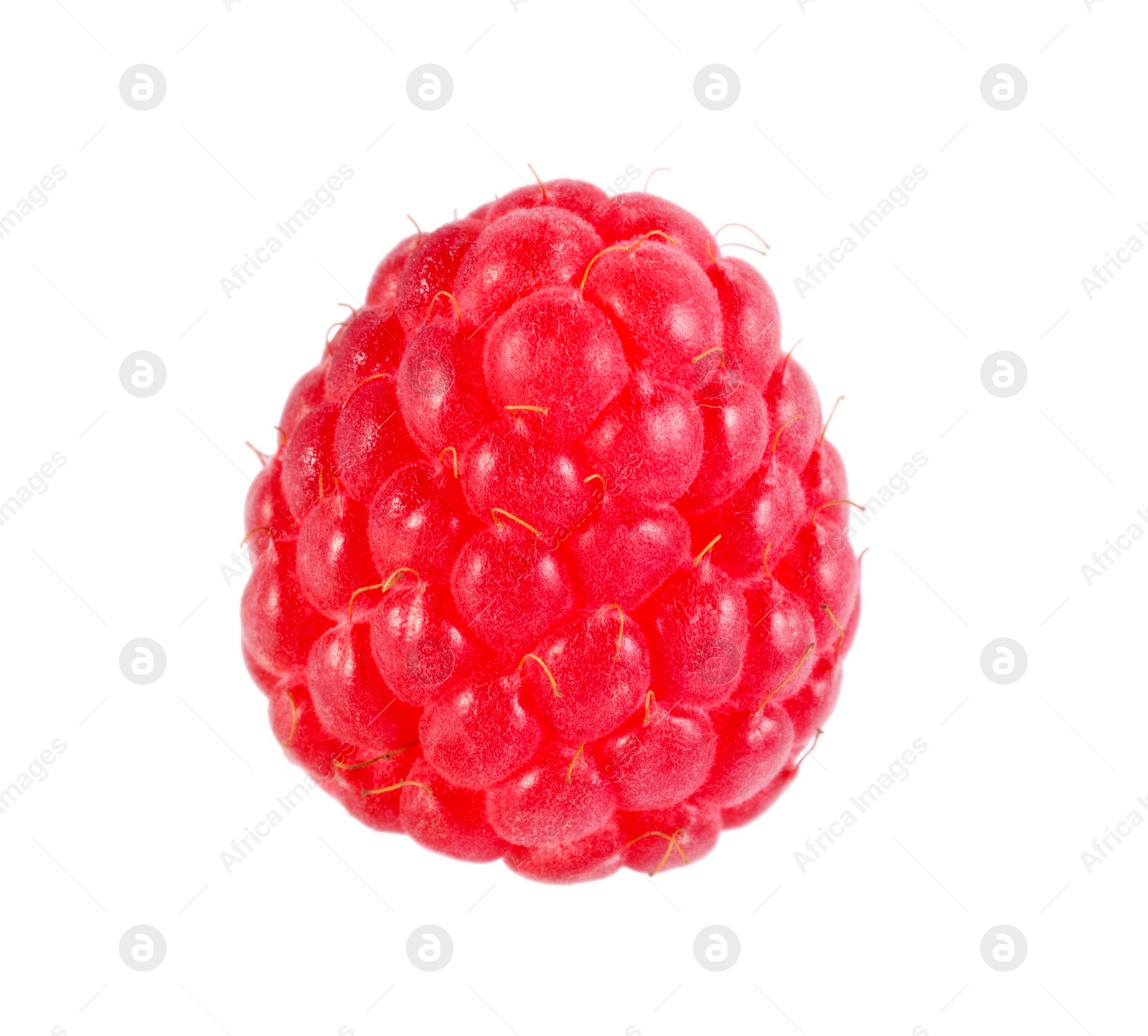 Photo of One tasty ripe raspberry isolated on white