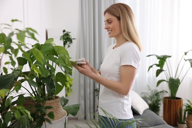 Woman wiping leaves of beautiful potted houseplants with cloth at home